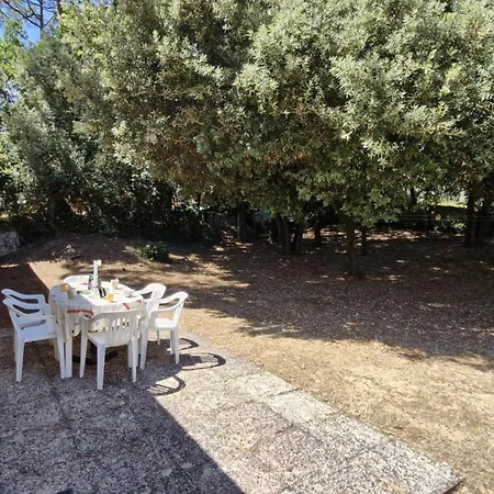 La Palmyre - Charmante Maison Individuelle Classee 2 Etoiles - Acces Wifi Vila